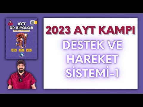 Destek Hareket Sistemi - 1 AYT Biyoloji Kampı Konu Anlatımı/ 11.Sınıf 2024 Tayfa