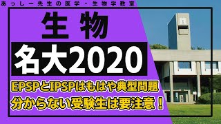 名大(生物2020)全問題解説(①細胞骨格に関する知識問題と考察問題②神経に関する知識問題の小問集合③窒素同化や相利共生に関する考察問題④形成体の働き・関連する遺伝子についての考察問題)