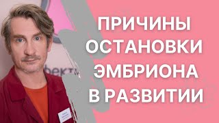 Причины остановки эмбриона в развитии