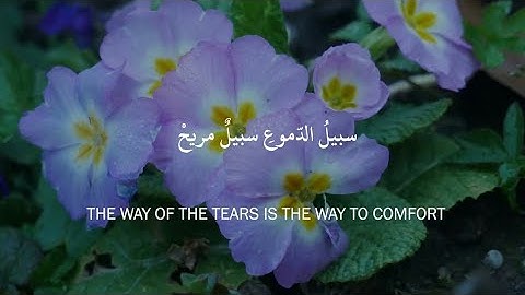 The Way of the Tears  سبيل الدموع  Muhammad Al Muqit with English Translation