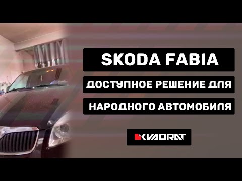 Skoda Fabia - Замена линз.