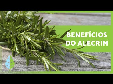 Vídeo: Alecrim Seco - Conteúdo Calórico, Propriedades úteis, Valor Nutricional, Vitaminas