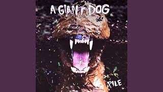 Video thumbnail of "A Giant Dog - Creep"