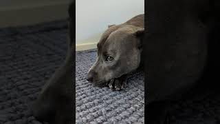 Not Quite Ready To Get Out Of Bed...