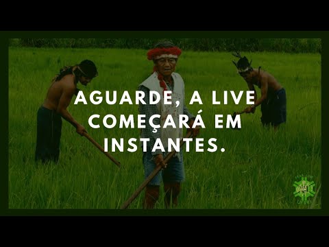 Imagem/foto