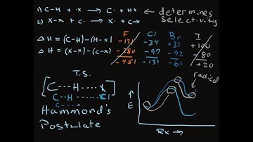 Position Selectivity in Radical Bromination