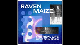 Raven Maize - The Real Life (David Penn Remix)