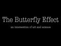 The Butterfly Effect, an art-science collaboration