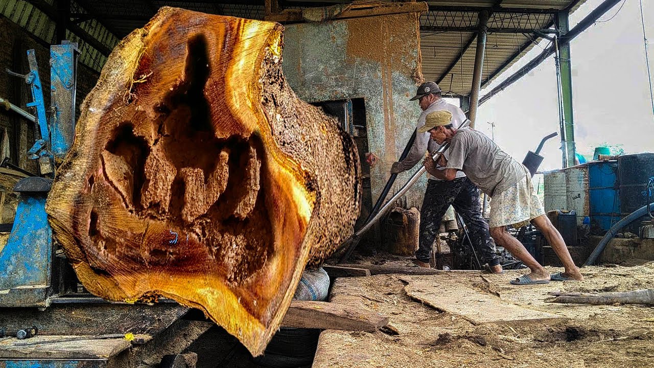 "Cutting a Massive Trembesi Tree – Scary and Thrilling Sawmill Action ...