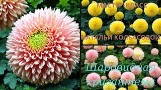 видео: МК☆ Кремовая техника для ШАРОВИДНЫХ ХРИЗАНТЕМ от Натальи Колбасовой☆GLOBULAR CHRYSANTHEM картинка: МК☆ Кремовая техника для ШАРОВИДНЫХ ХРИЗАНТЕМ от Натальи Колбасовой☆GLOBULAR CHRYSANTHEM