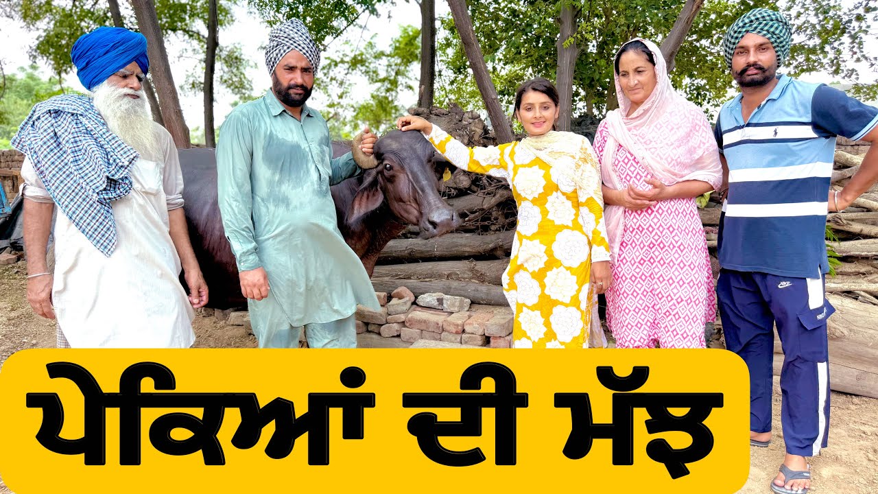 ਪੇਕਿਆਂ ਦੀ ਮੱਝ ! PEKYA DI MAAZ ! Latest Comedy Video 2025 ! Natak ! @numberdarubhia 