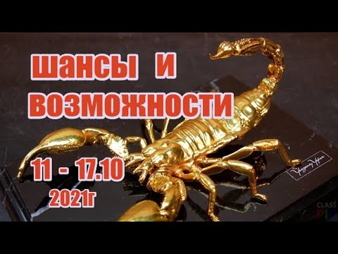Video: Скорпион адамын кантип түшүнсө болот