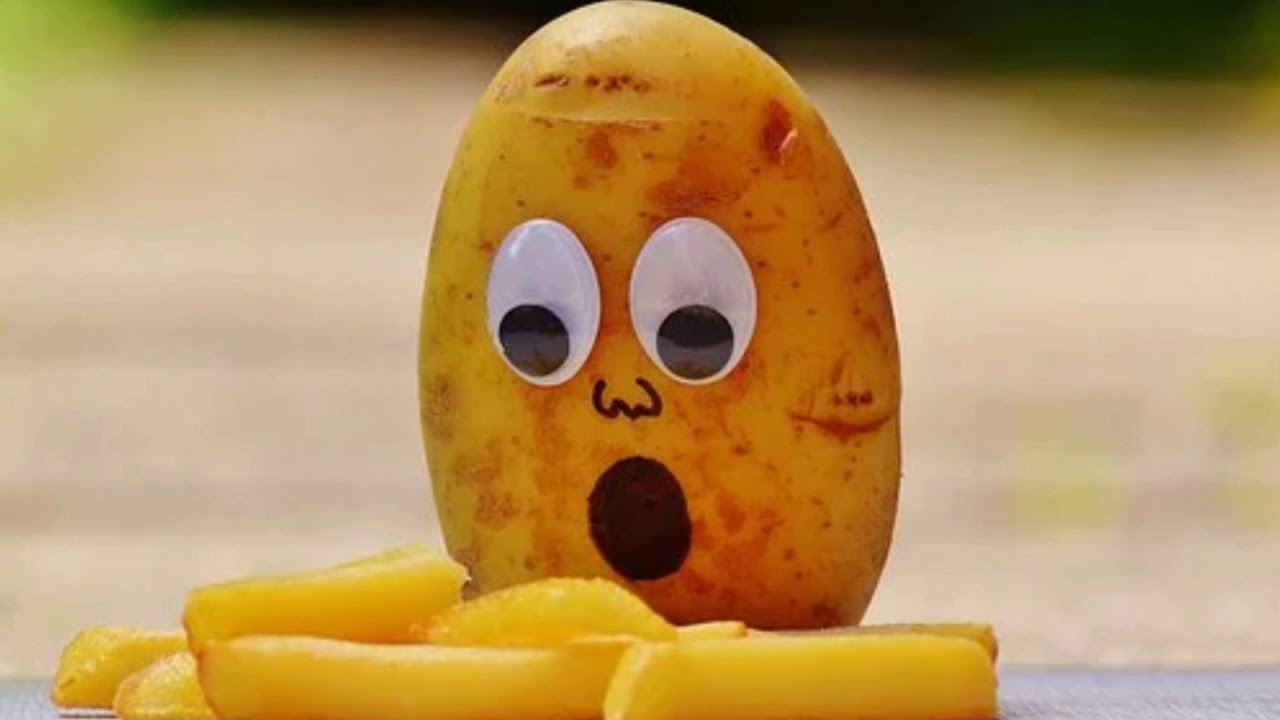Terrified, Horrified, Petrified (ESL) 