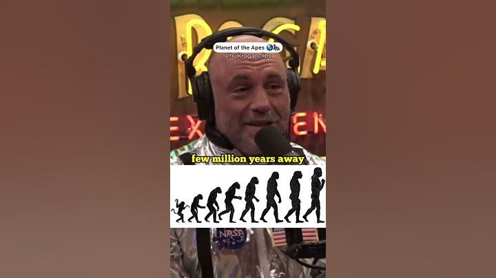 Have Monkeys entered the Stone Age? #joerogan #shorts #nature #monkey #evolution