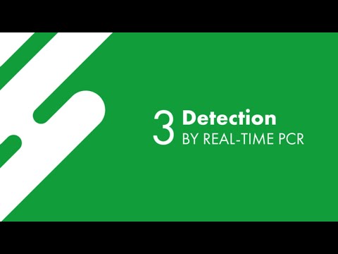 Condagene® Workflow │ Part 3: Detection by Real-Time PCR - video from Condalab