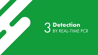 Condagene® Workflow │ Part 3: Detection by Real-Time PCR