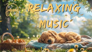 【Picnic Light Music Moments】: Picnic in the company of cute dog | 2 Hours of Pure, Ad-Free Music