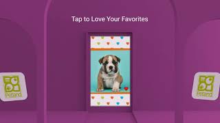 The Petland USA App by Everything Puppies 166 views 4 years ago 17 seconds