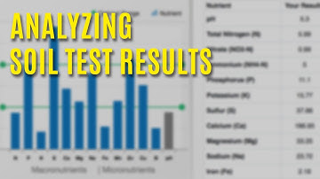 Analyzing Soil Test Results