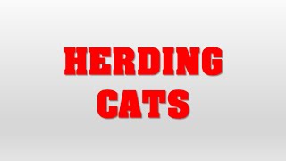 English Lesson: Mastering English Idioms: Like Herding Cats