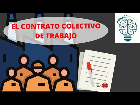 Video: El colectivo de trabajo no me aceptó: cómo fue