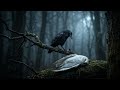 محمود دراويش   تنسى                                            حالتي