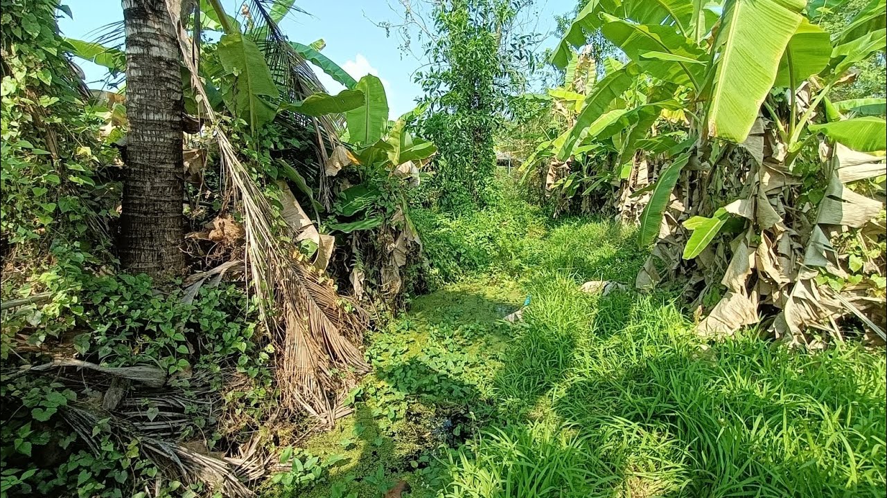 หาปลาไหม เจอหมายแบบนี้อย่ามองข้าม