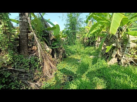 หาปลาไหม เจอหมายแบบนี้อย่ามองข้าม