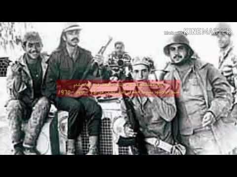 ايلول الاسود 