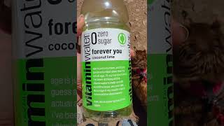 Vitamin Water Coconut Lime Zero Sugar New Flavor