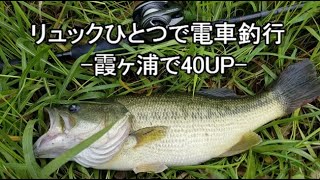 【リュックひとつで電車釣行#1】ー霞ヶ浦 桜川で40UP ゾディアスパックー