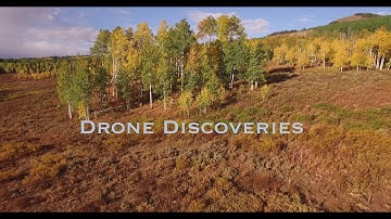 Low To HIGH CLOSE to aspen tree reveal, Aerial, 4K, 37s, 21of34, Aspen Trees, Foliage, Mountains, Be