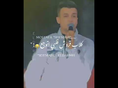 حلات واتس بلدي منجتيه بلدي عصام صاصا