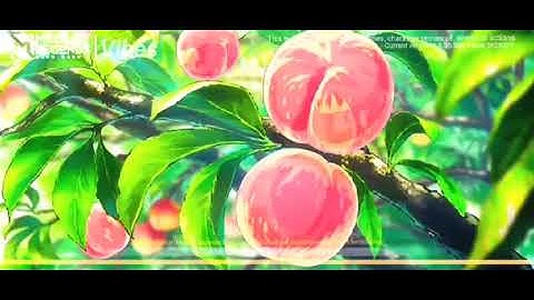 SCRIPT INTRO ML ANIME V2