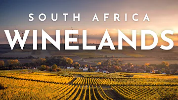 STELLENBOSCH wineries and beach leisure at KNYSNA | South Africa