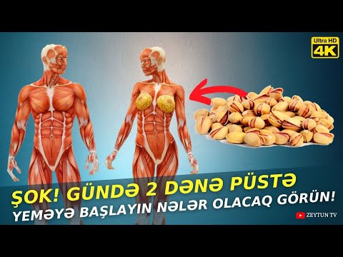 Video: Püstə Maliyyəçiləri