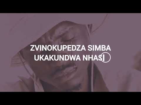 Ndoozvazviri Lyrics Video 