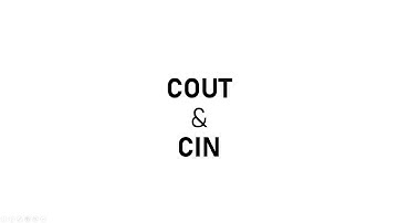 Penggunaan COUT dan CIN