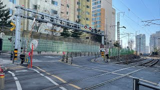 돈지방건널목 7406호+(8544호,8582호무화) 3중련 무화회송 벌크화차,경의중앙선 통과영상