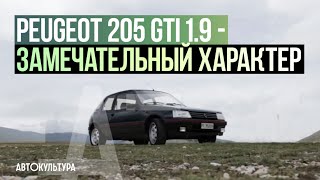Peugeot 205 GTi 1.9 - Драйверские опыты Давида Чирони