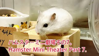 ハムスターミニ劇場その7。Hamster Mini Theater Part 7. #薔薇です🌹#baradesu #hamster #ハムスター by 薔薇です🌹のハムスターチャンネル 231 views 8 days ago 10 minutes, 32 seconds