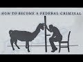 You Can Get 5 Years in Prison for Selling Llama Poop. A Chronicle of Our Most Ludicrous Laws