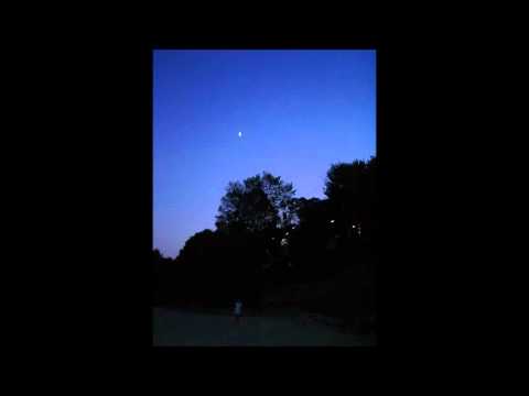 Danielle Baas - Variations préhistoriques