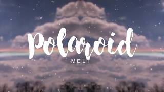 Meltberry - Polaroid 🌈 (Original)