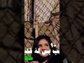 شفت شايب بس له قلب خضر شفت شايب بس له قلب خضر