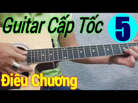 Bài 5: Hướng dẫn bấm hợp âm trên đàn guitar (phần 1) | Điêu Chương 2023 mới nhất