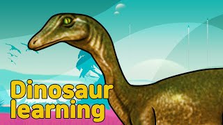 Dinosaur Troodon  Collection | Omnivorous dinosaur Troodon | 공룡 트로오돈 | 공룡 배우기 | Lea