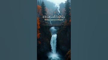 ﴿ أفلَا ينظُرون إلى الإبلِ كيف خُلقت ﴾ ❤️ سوره الغاشيه، عبدالرحمن مسعد #ارح_قلبك #قرآن