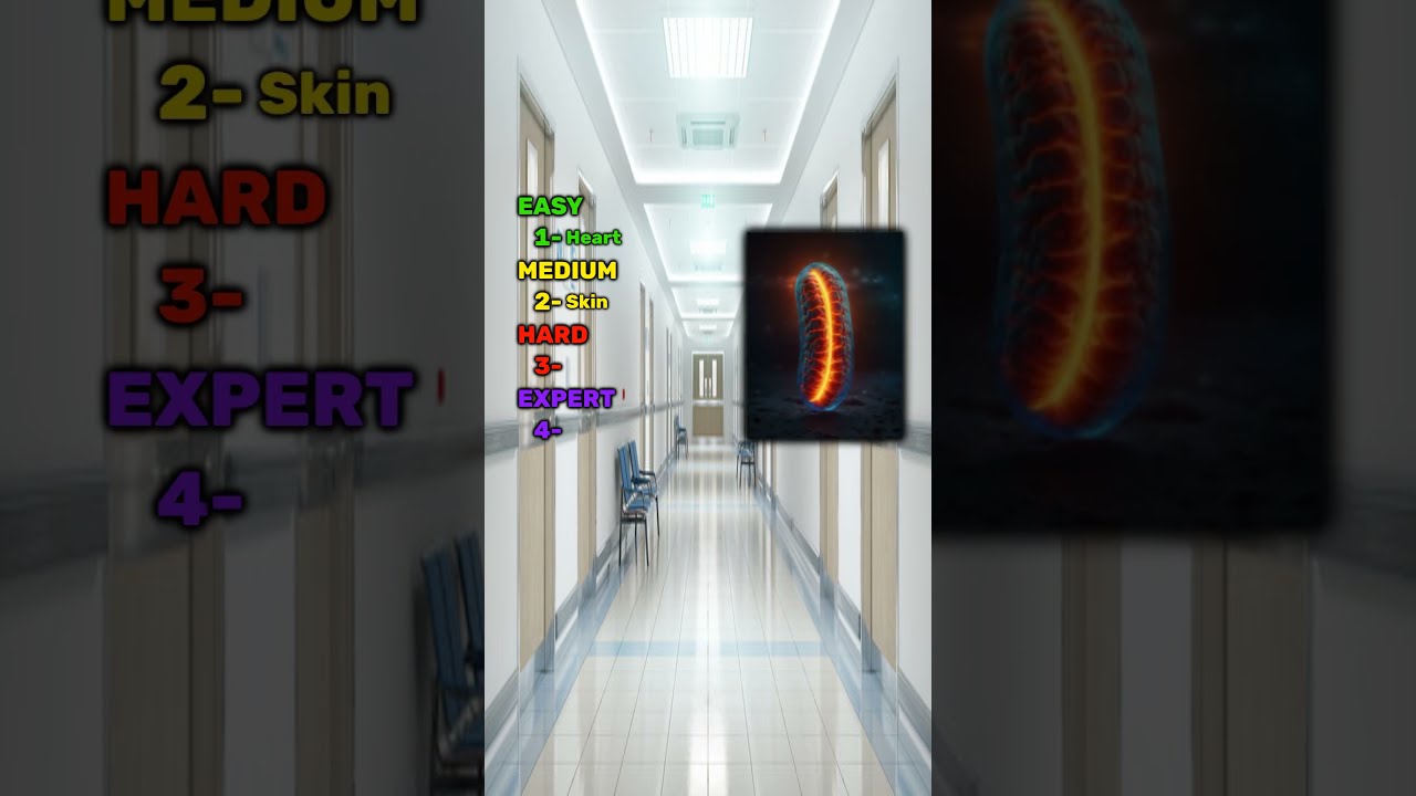 What Level Did You Get To 