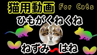 Videos for cats to play with  mouses, feathers, and strings to help your cat kill time